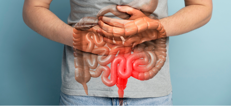 Understanding Bladder Cancer, Risk Factors, and Treatment Options