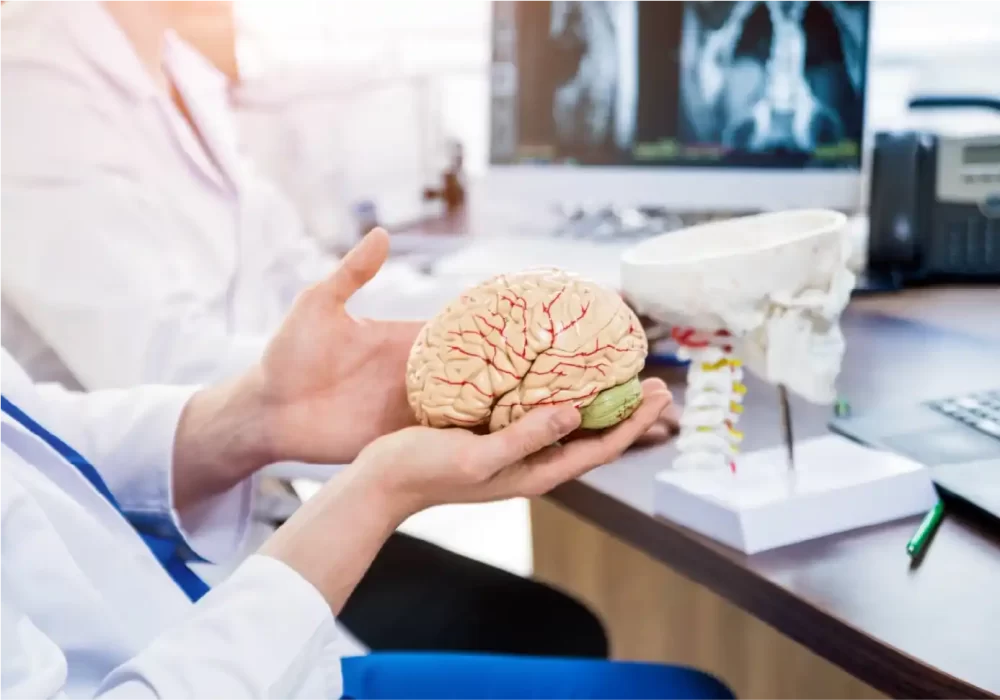 Brain tumor model for neuro oncology