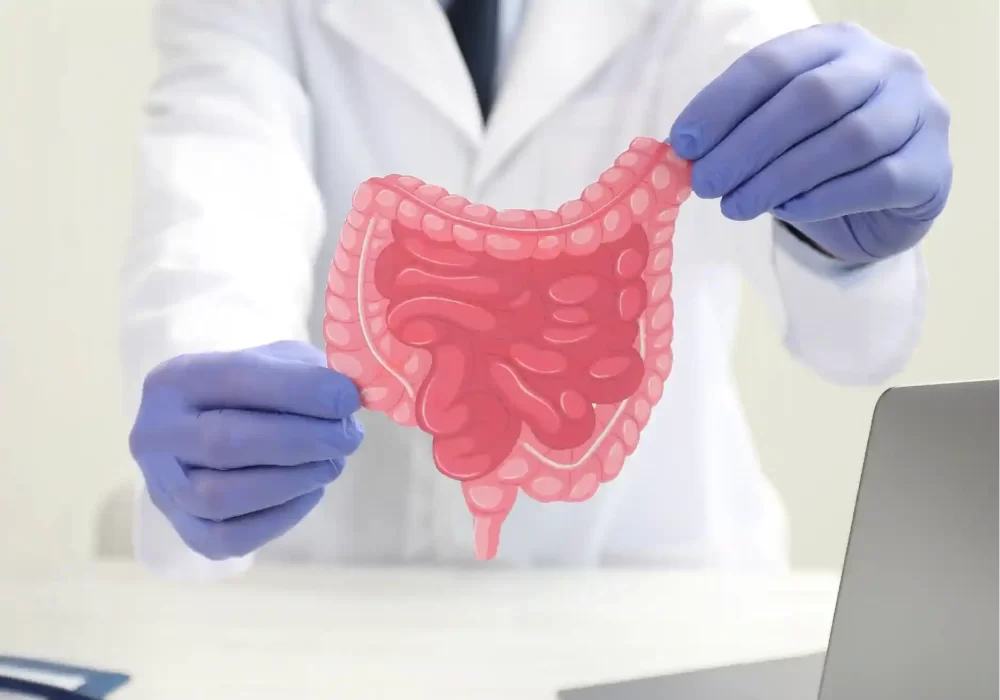 Gallbladder cancer anatomy model